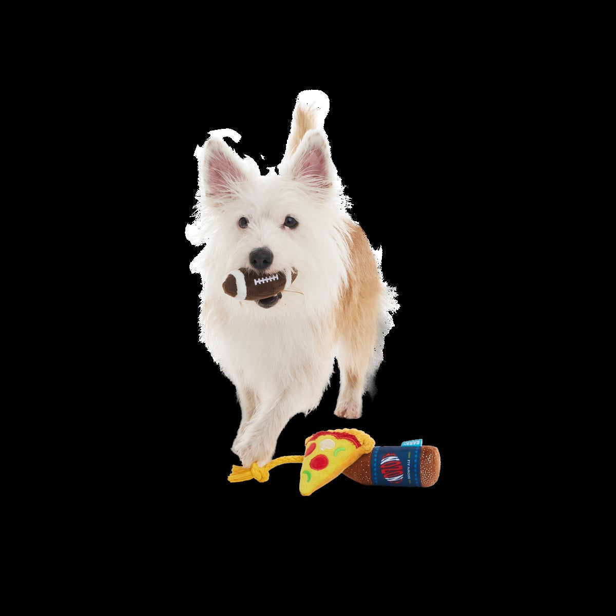 Big Game Bundle Plush Multi-Part + Tug Dog Toy