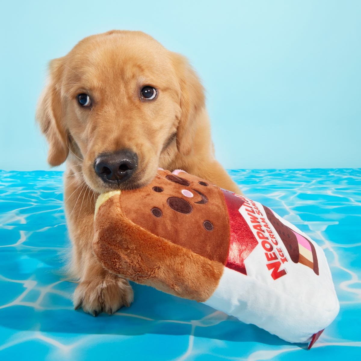 Grand Slam Ice Cream Sam Plush Extra-Large Dog Toy