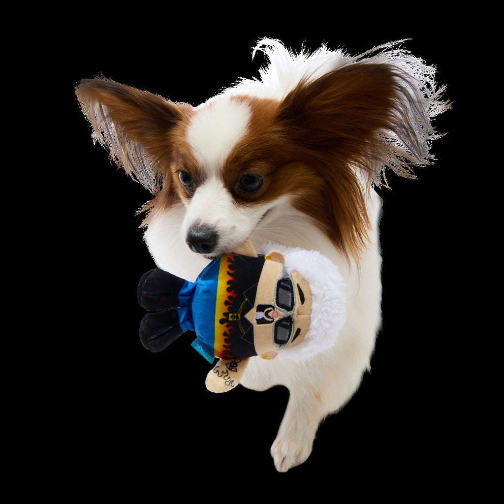 Fetch Fieri Plush Tug Dog Toy