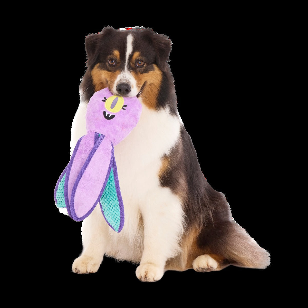 U.F. OLLIE Plush Tug Dog Toy