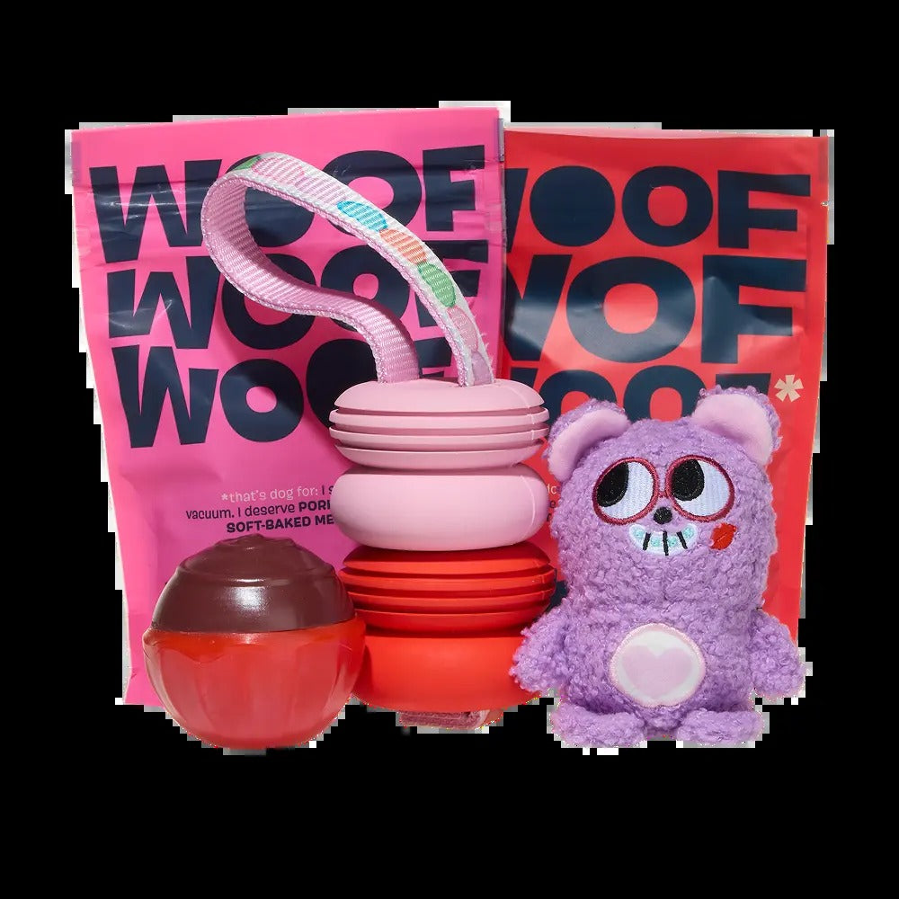 BARK 12 Month Subscription - FREE Extra Toys
