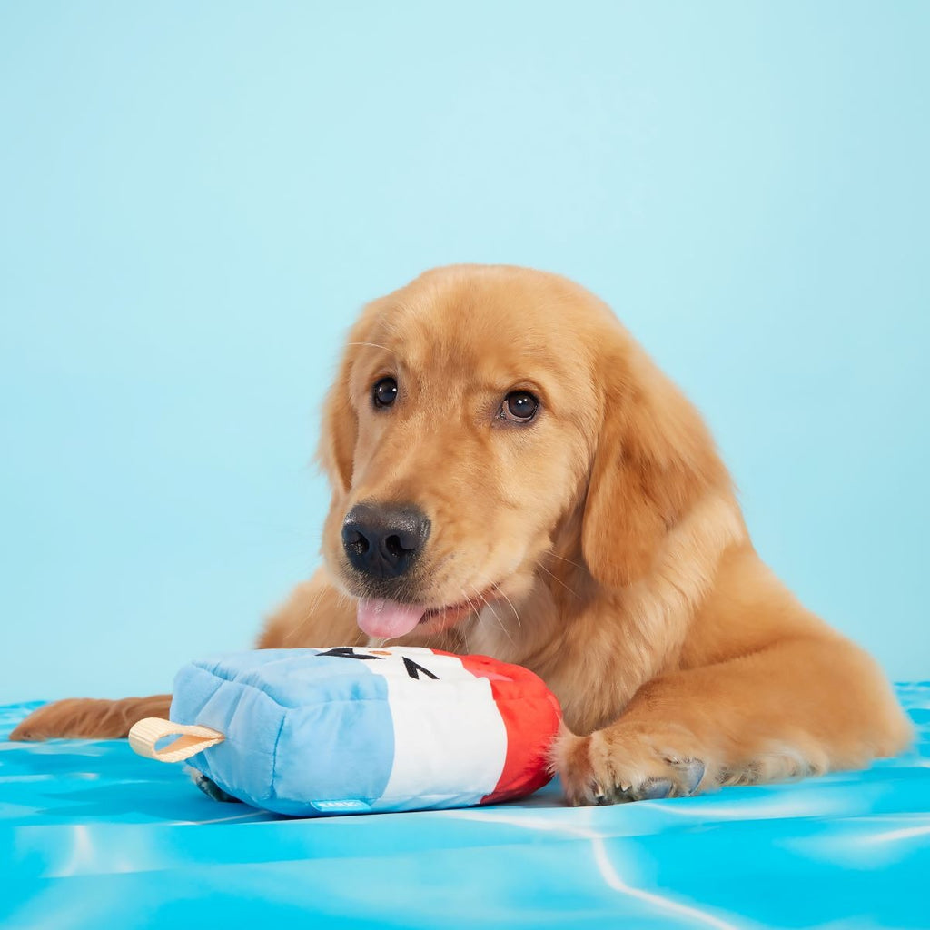 Rocket Droolsicle Plush Tug Dog Toy