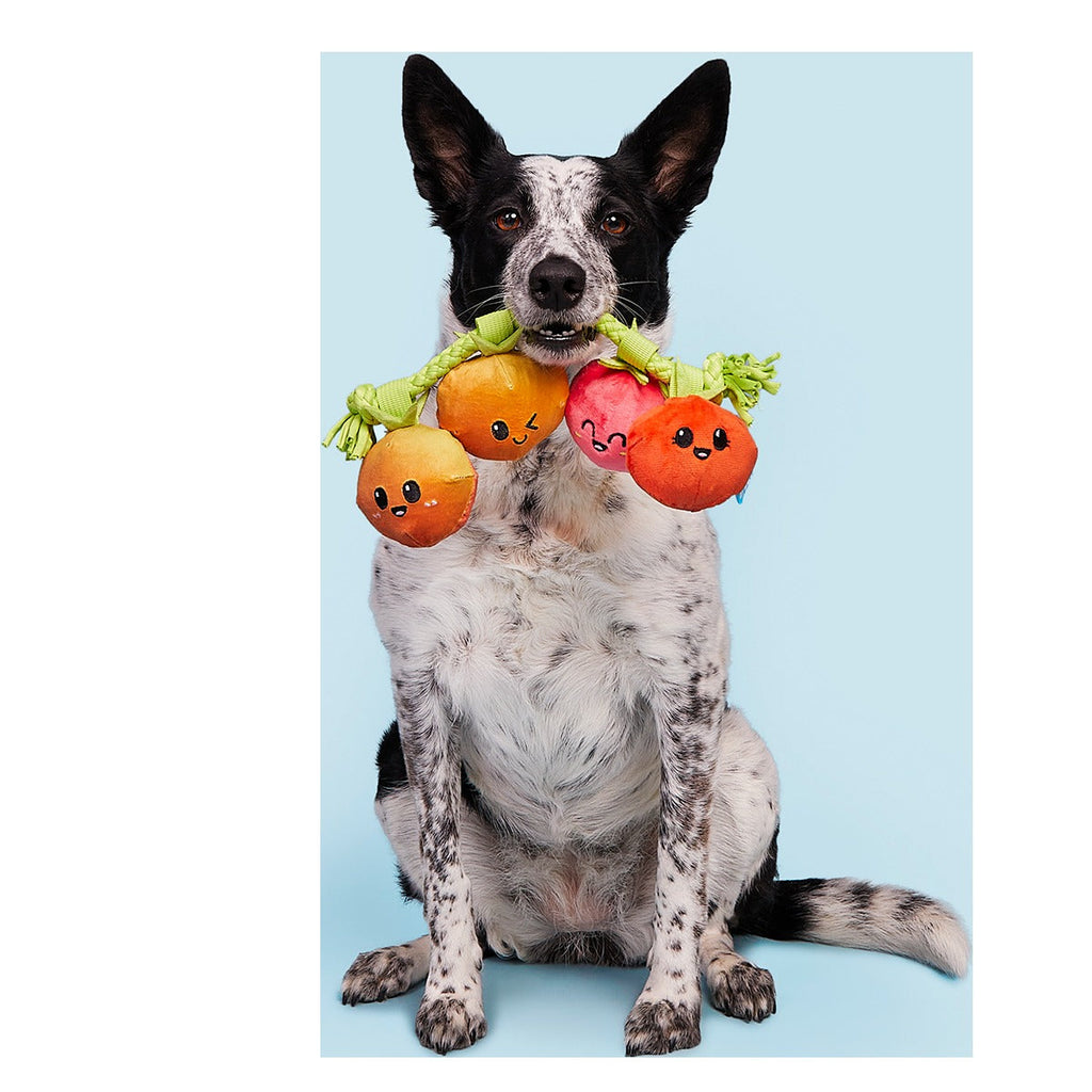 Hairloom Tomatoes Plush Tug Dog Toy