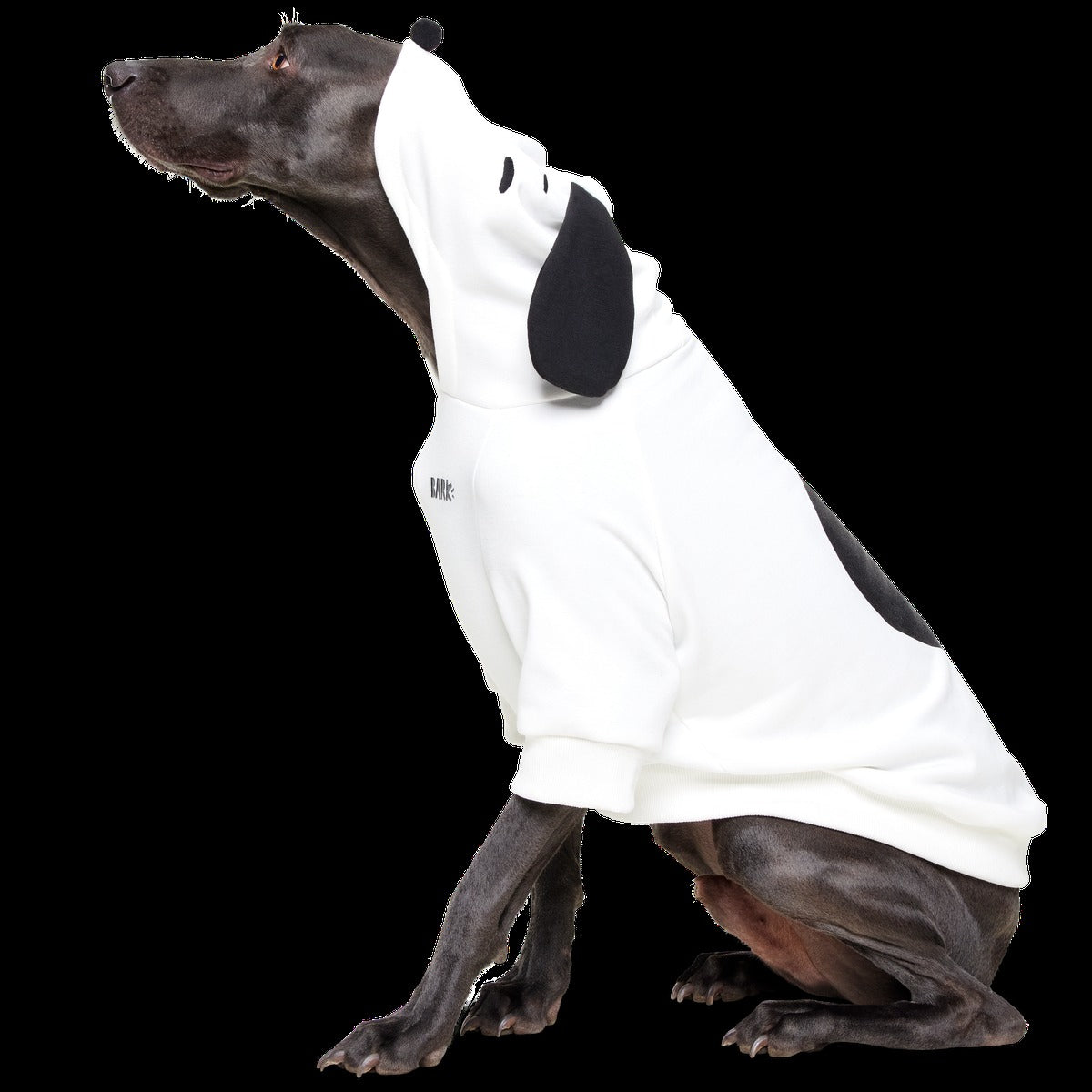Snoopy Dog Hoodie