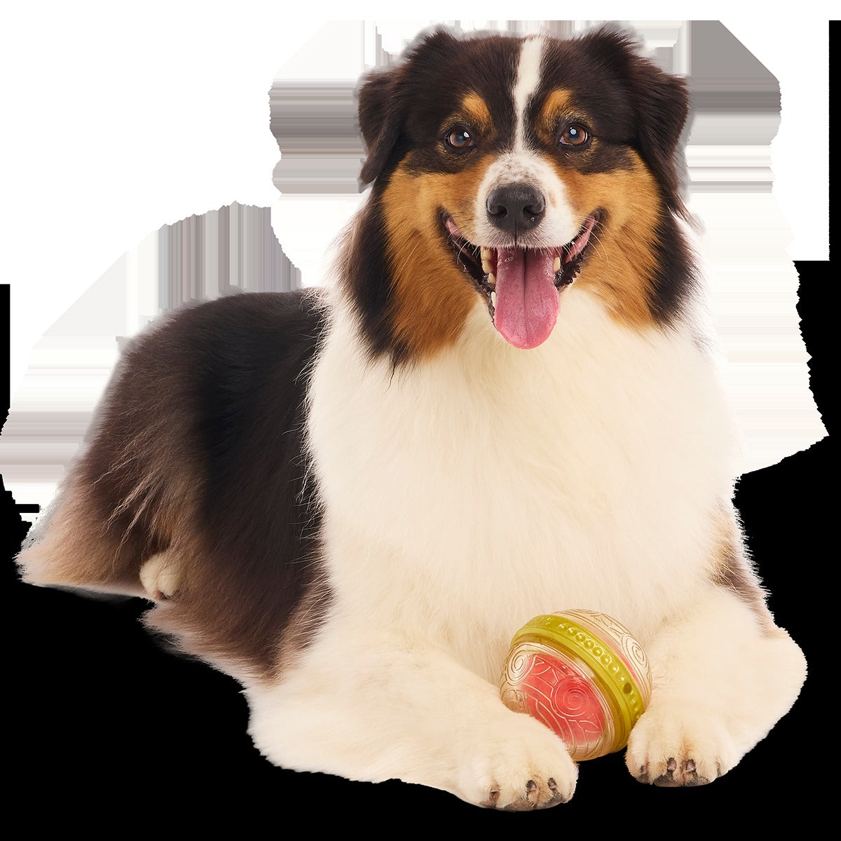 RemembrallTM Super Chewer Durable Fetch Dog Toy
