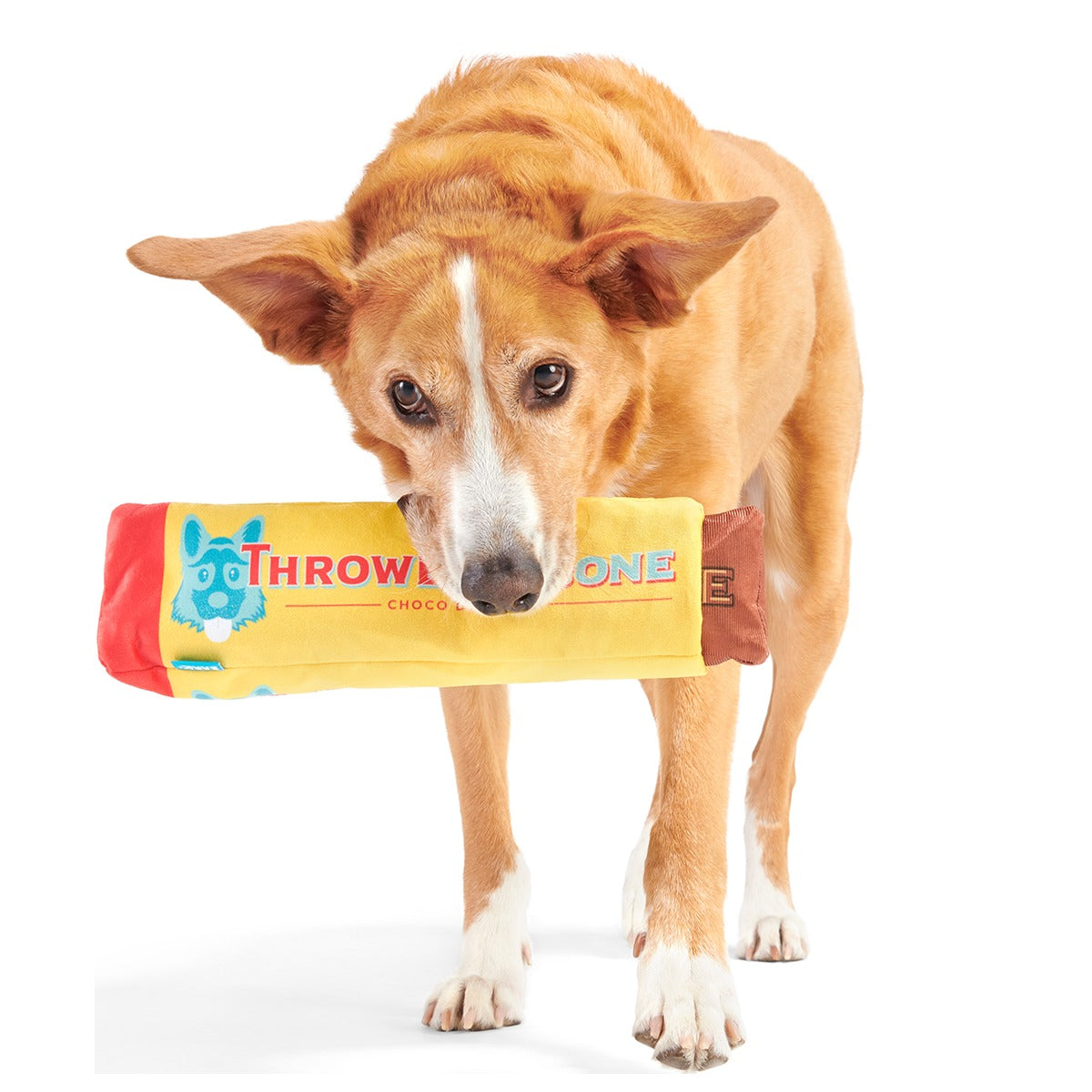 ThrowblerBone Plush Extra-Large + Multi-Part + Enrichment Dog Toy