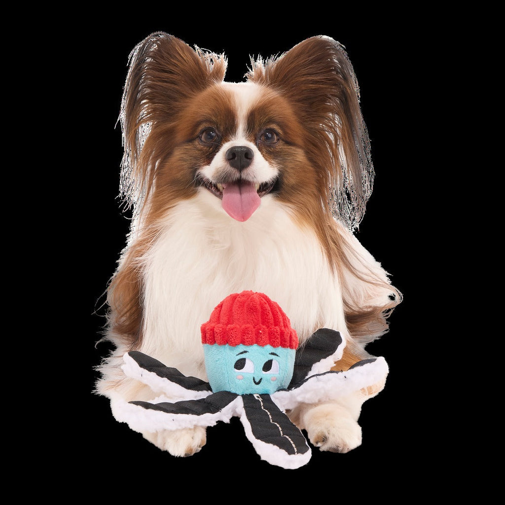 Arctic Ollie Plush Tug Dog Toy