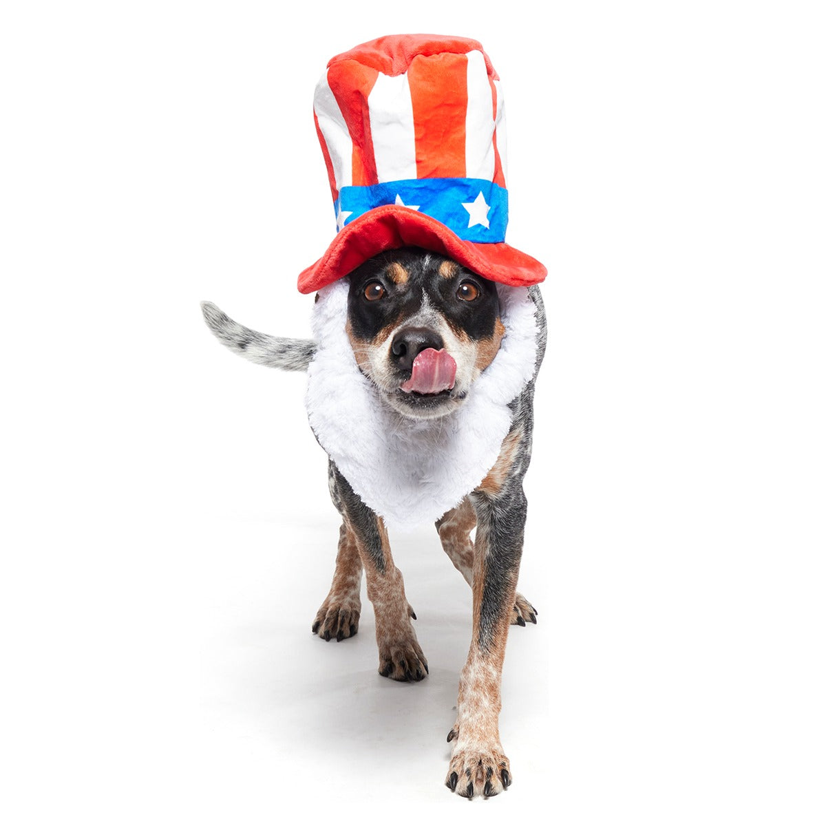 Dog Bless America Plush Wearable Tug Dog Toy