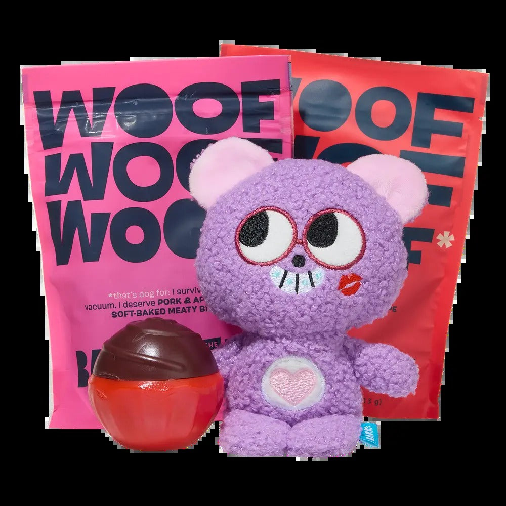 BARK 12 Month Subscription + Cardboard Box