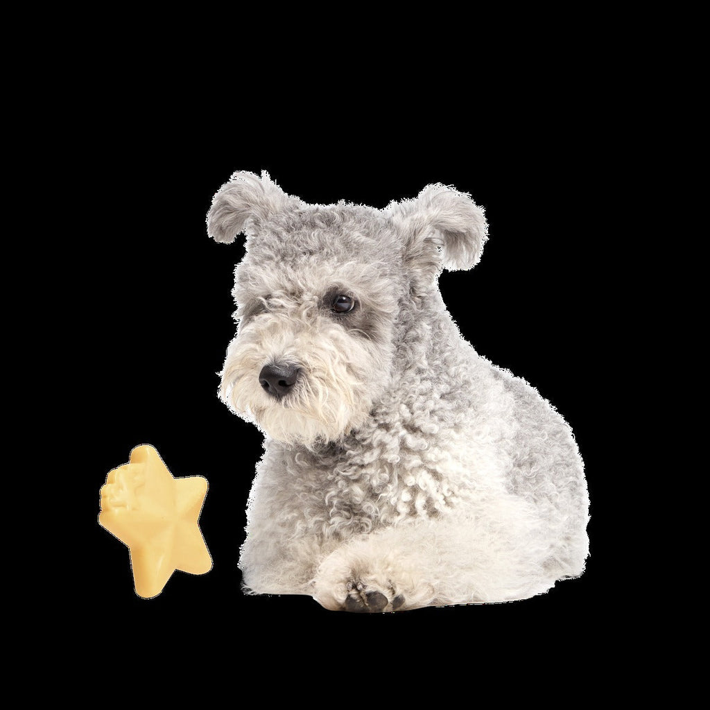 Woodstock's Star Super Chewer Durable Gnaw Dog Toy