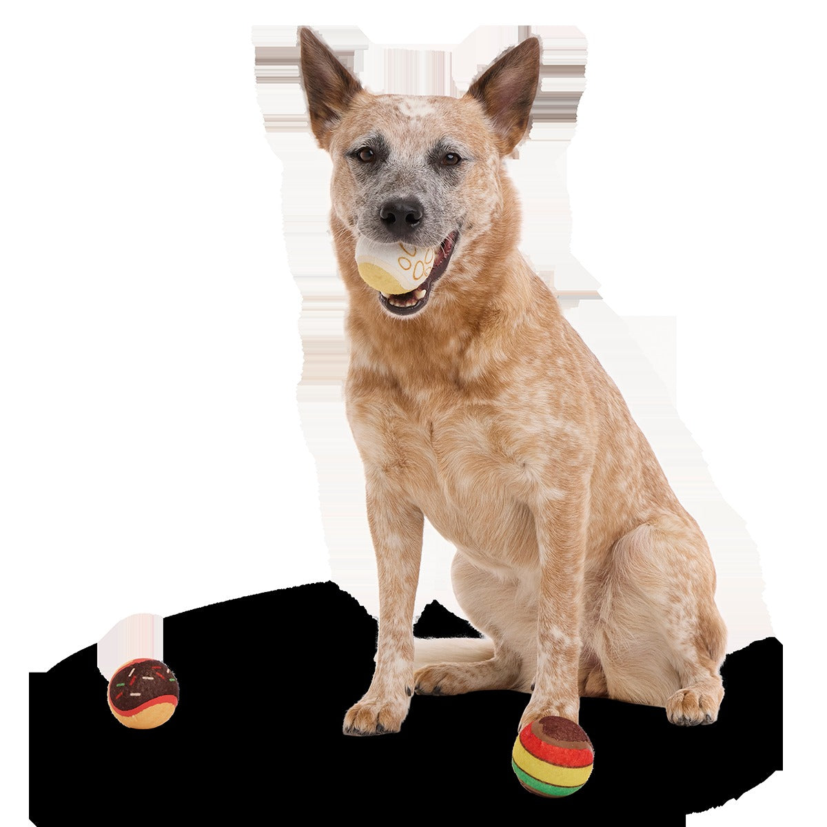Ballscoti Cookies Plush Multi-Part Fetch Dog Toy