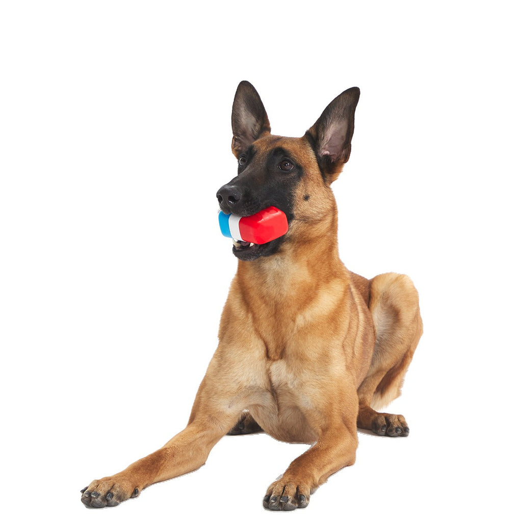 Red White + Chew Pupsicle Super Chewer Durable Gnaw Dog Toy