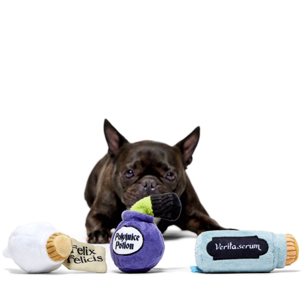 Potions Class PackTM Plush Multi-Part Dog Toy