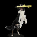 Super Stick Supreme Super Chewer Durable Extra-Large + Fetch Dog Toy
