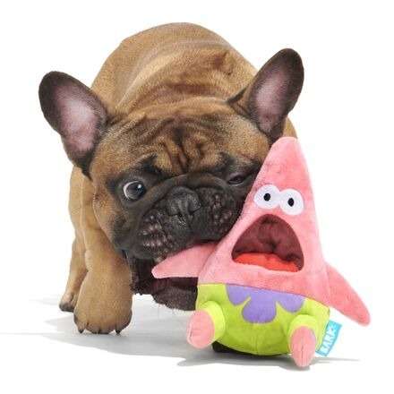 Plush SpongeBob Bundle