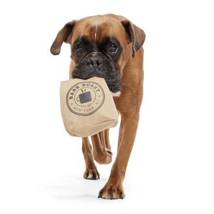 Jitter Pug Coffee Bean Super Chewer Durable 2-in-1 Dog Toy
