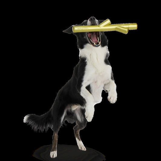Super Stick Supreme Super Chewer Durable Extra-Large + Fetch Dog Toy