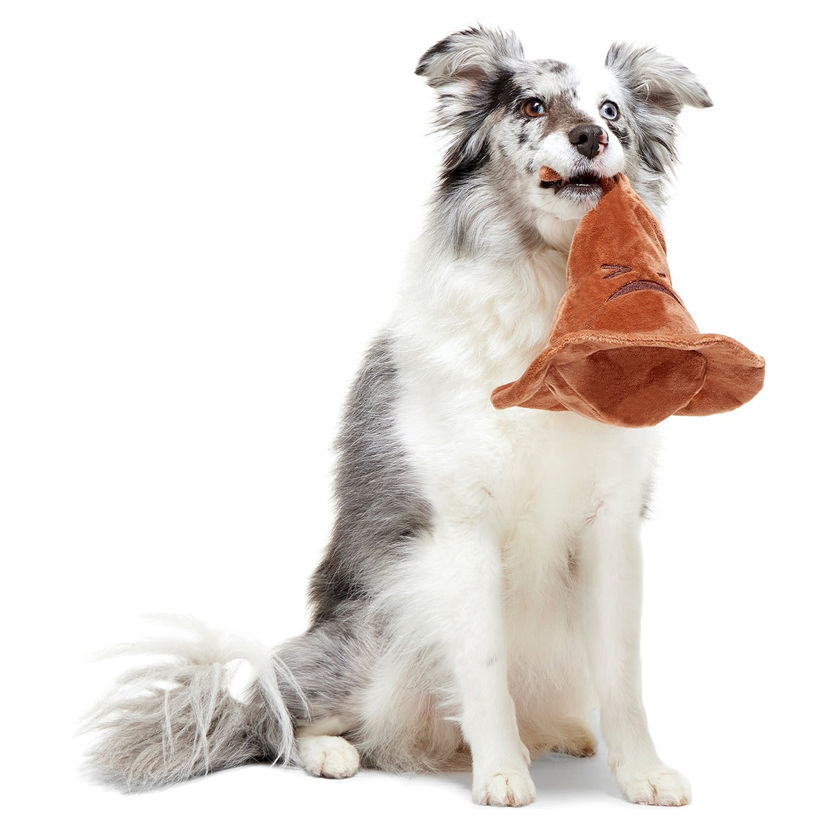 The Sorting HatTM Plush 2-in-1 + Fetch Dog Toy