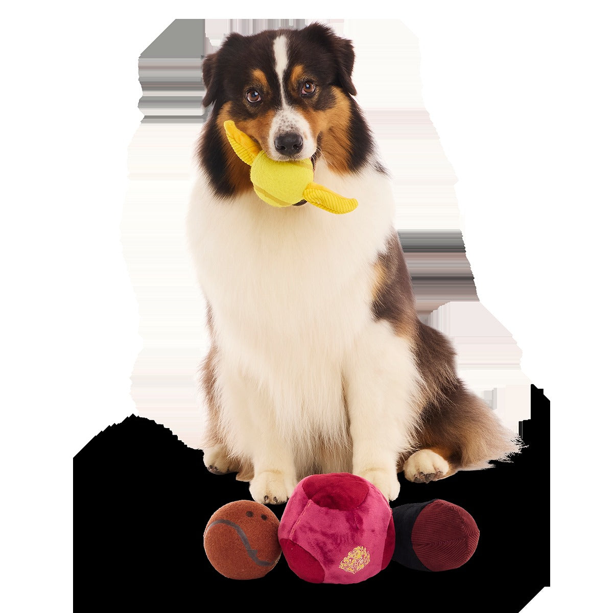QuidditchTM Equipment Pack Plush Multi-Part + Tennis Ball Fetch Dog Toy
