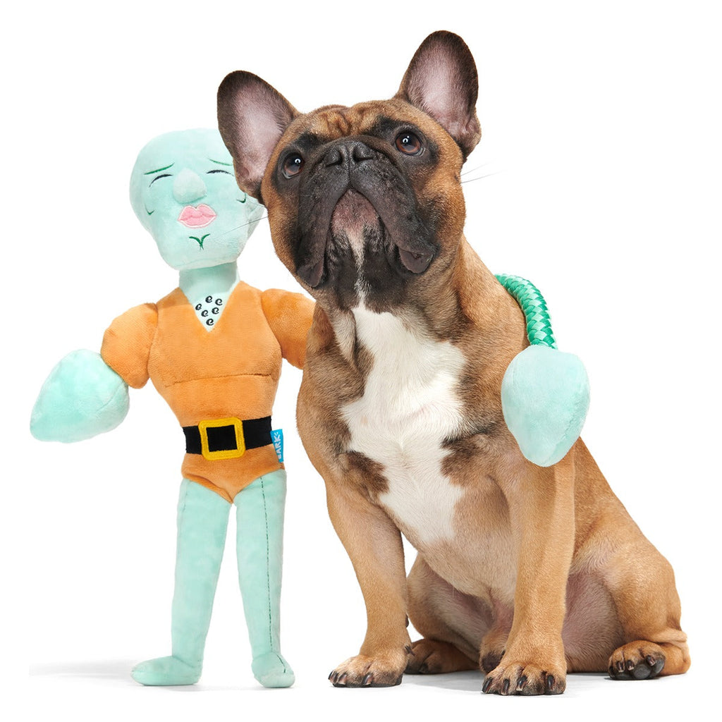 Handsome Squidward Plush Extra-Large + Tug Dog Toy