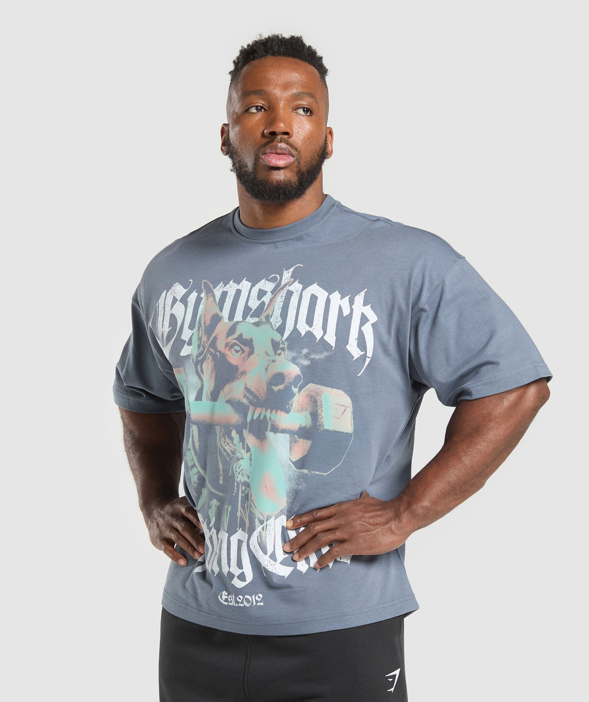 Gymshark Doberman Graphic Tee - Iron Blue
