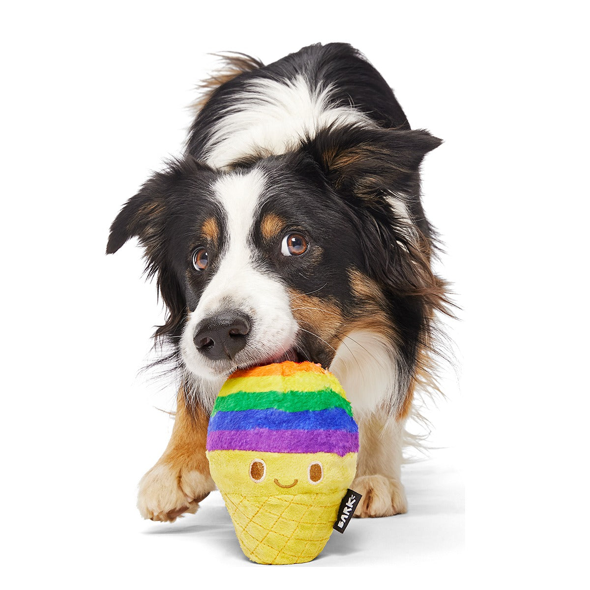 Rainbow-wow Sherbert Super Chewer Durable 2-in-1 Dog Toy