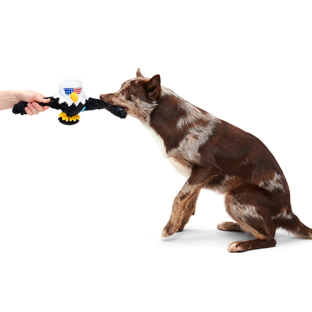 Bold Eagle Plush Tug Dog Toy