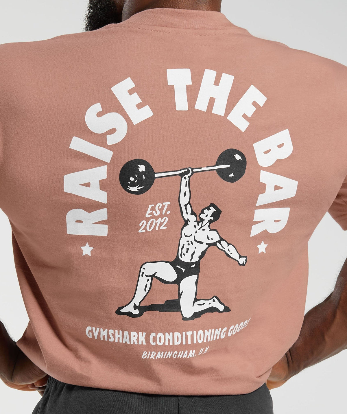 Gymshark Raise the Bar Tee - Faded Pink