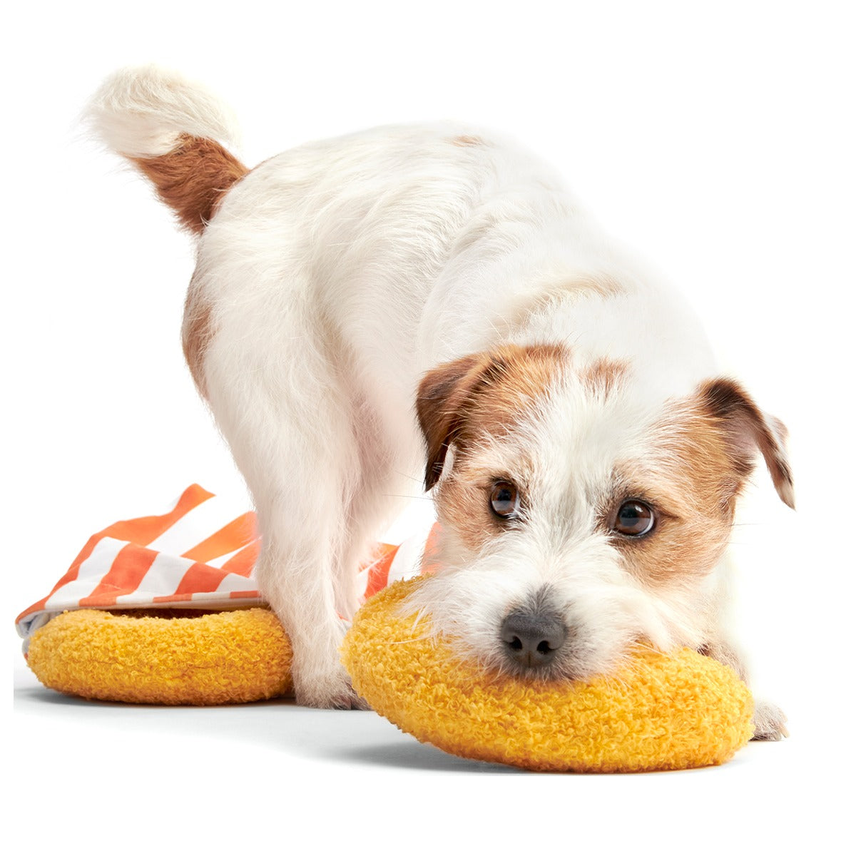Yapple Cider Domutts Plush Extra-Large + Multi-Part + Enrichment Dog Toy