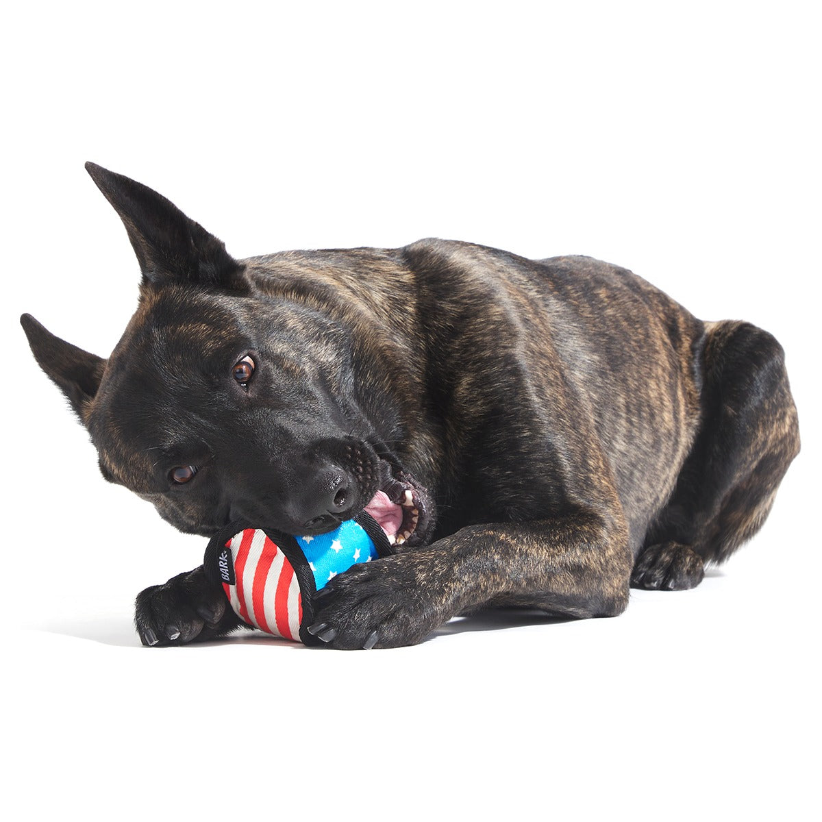 Base Brawl Super Chewer Durable 2-in-1 Fetch Dog Toy