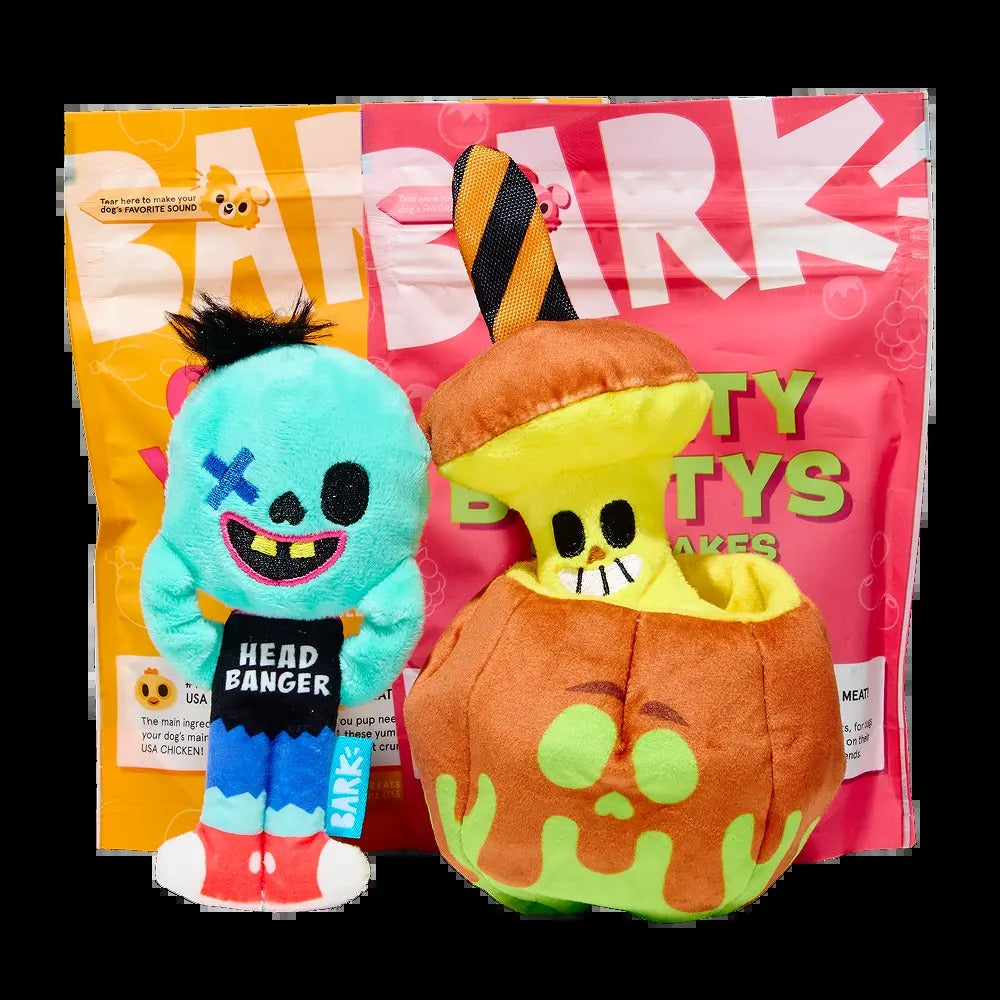 BARK Monthly Subscription + Cardboard Box