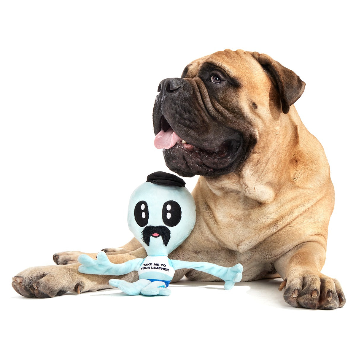 The Gaylien Plush 2-in-1 Tug Dog Toy