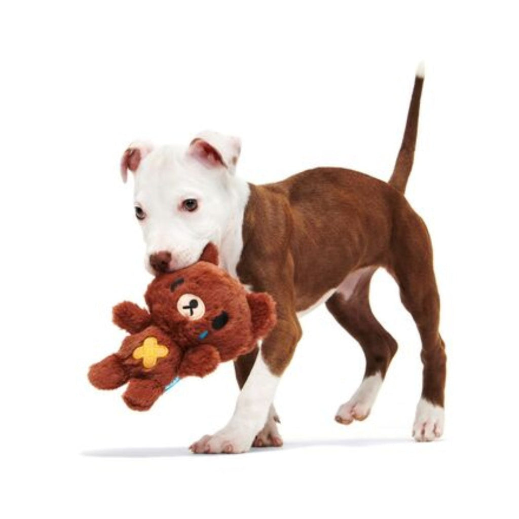 Take Care Bear Plush Dog Toy