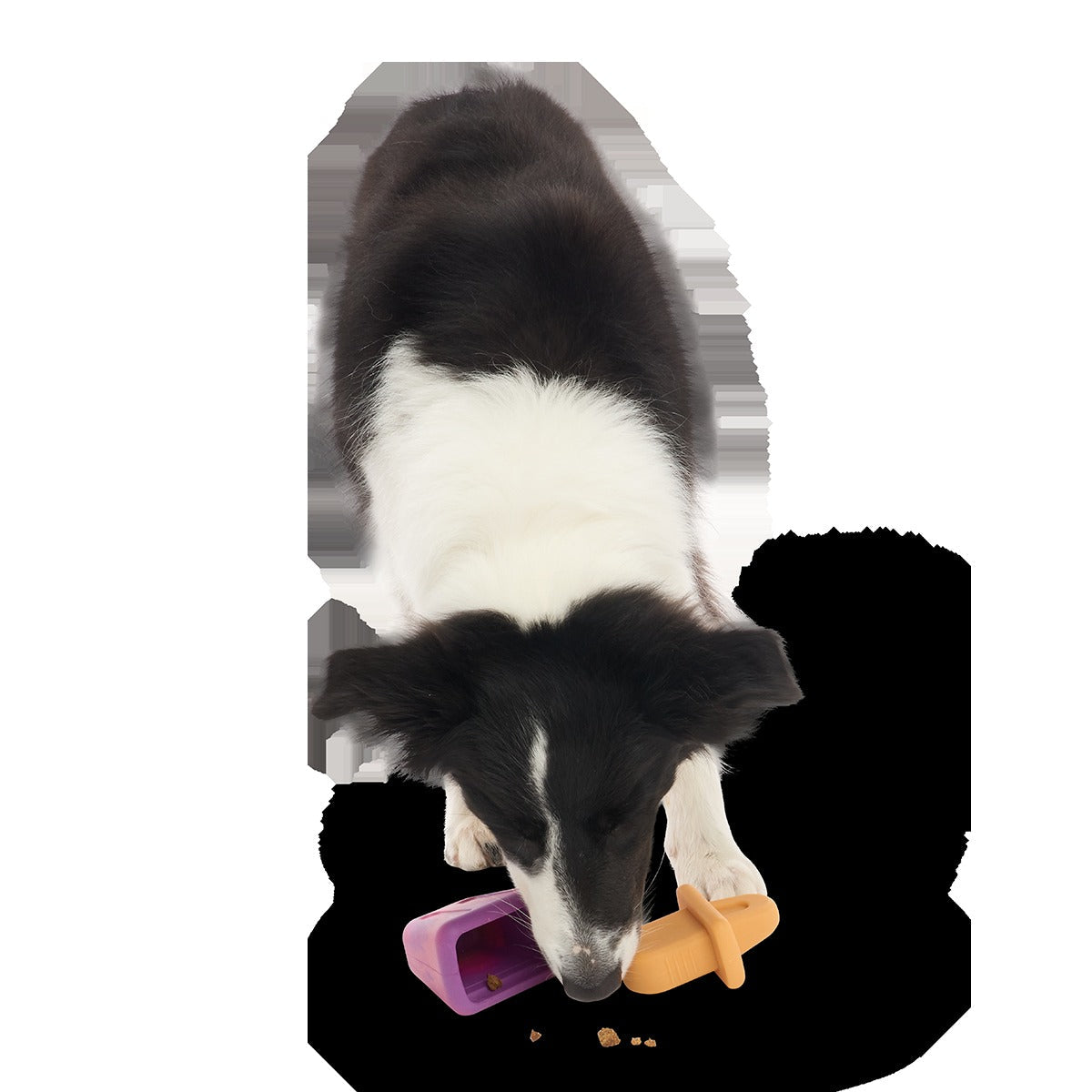 Chill N' Chomp Pupsicle Kit Super Chewer Durable Enrichment Dog Toy